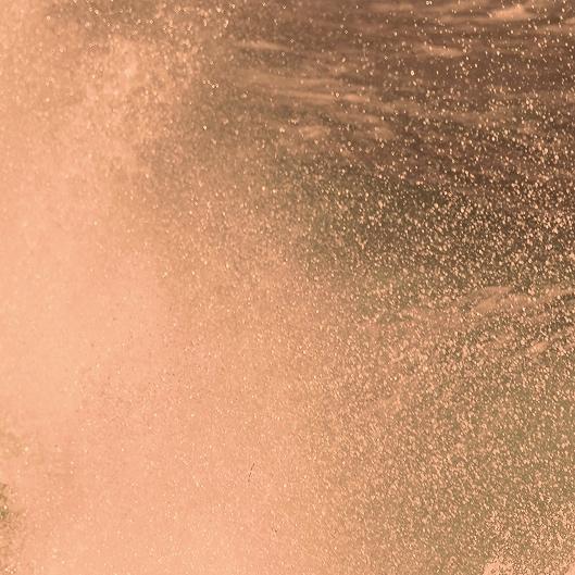 Black Friday (2) LUXE TANS 